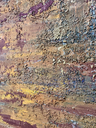 IMG_5815.webp